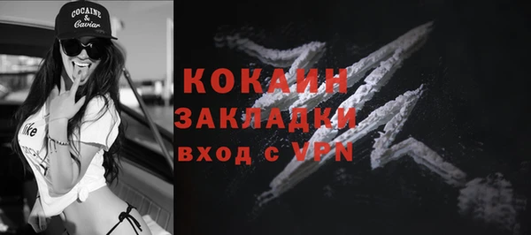 молекула духа Белоозёрский