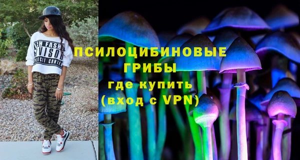 эйфоретик Богородск