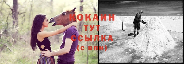 молекула духа Белоозёрский
